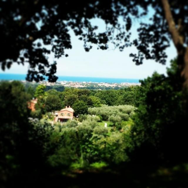 Agriturismo La Barca Nel Bosco Rosciano  Экстерьер фото